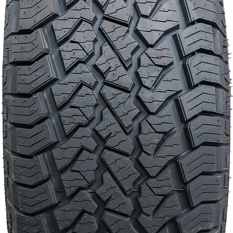 ROYAL BLACK TERRA FORCE AT