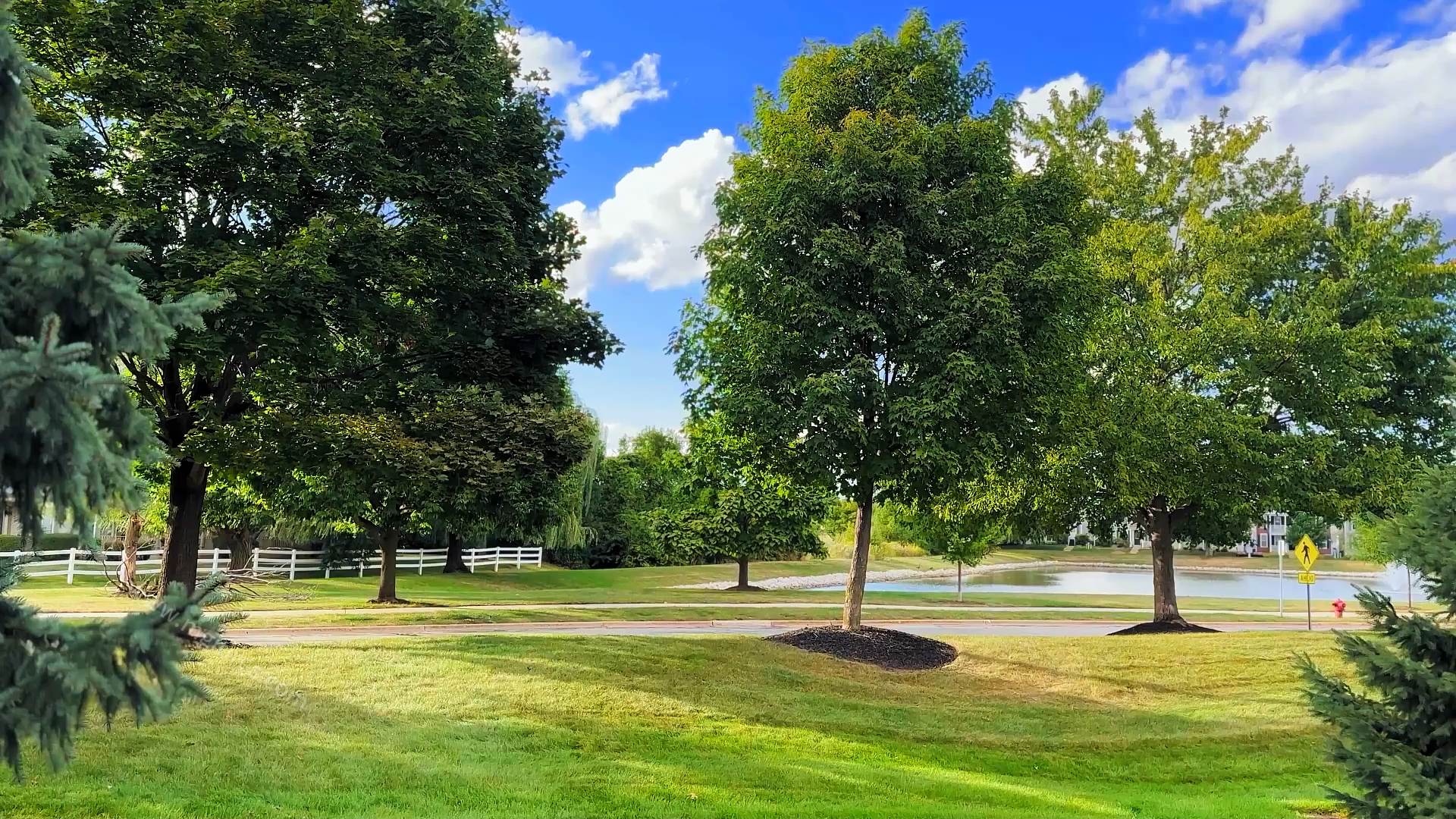 ROYAL BLACK tires RACING TRAC 245/35ZR20 245/35R20 245/35/20 245/35-20 95W XL