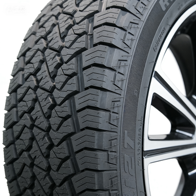 ROYAL BLACK TERRA FORCE AT