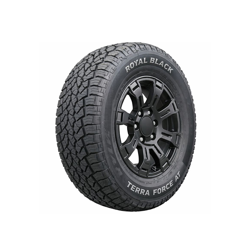 ROYAL BLACK TERRA FORCE AT